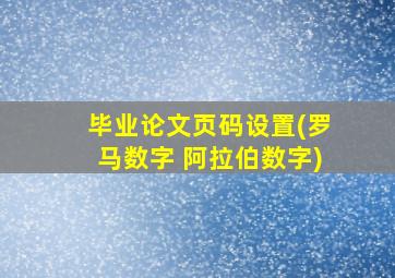 毕业论文页码设置(罗马数字 阿拉伯数字)